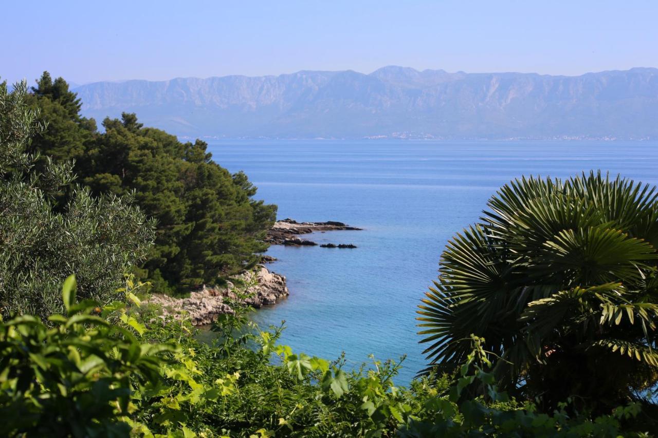 Apartments And Rooms By The Sea Trpanj, Peljesac - 258 Zewnętrze zdjęcie