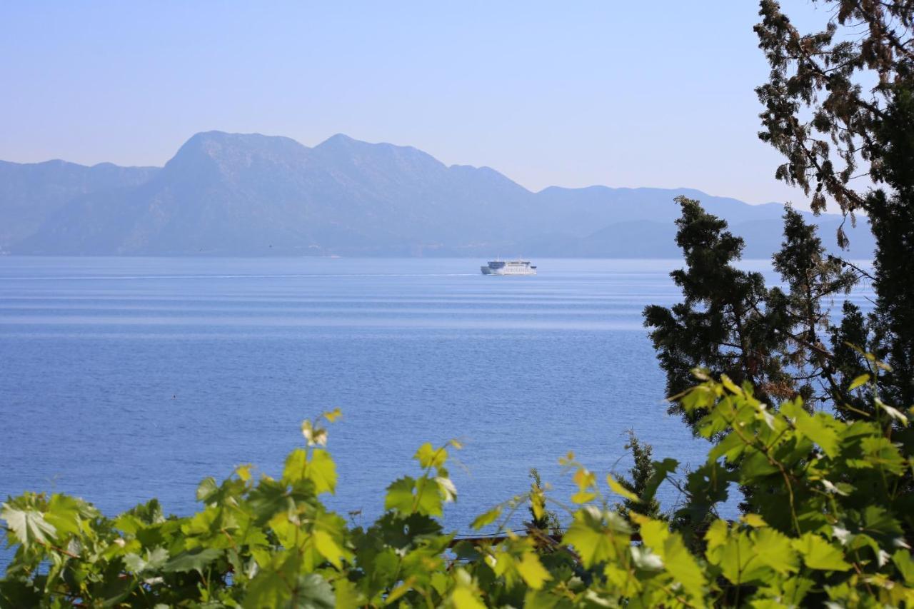 Apartments And Rooms By The Sea Trpanj, Peljesac - 258 Zewnętrze zdjęcie